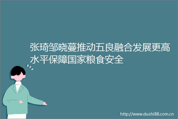 张琦邹晓蔓推动五良融合发展更高水平保障粮食安全
