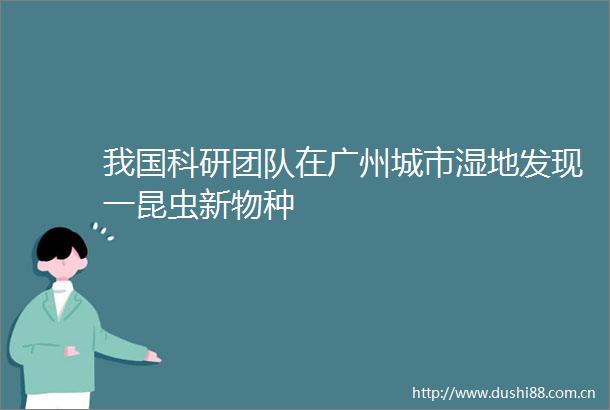 我国科研团队在广州城市湿地发现一昆虫新物种