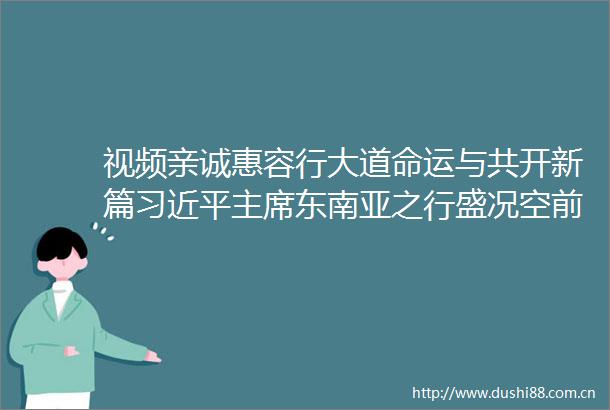视频亲诚惠容行大道命运与共开新篇东南亚之行盛况空前