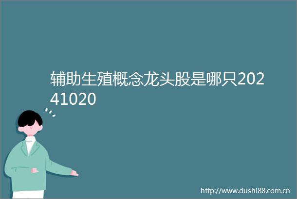 辅助生殖概念龙头股是哪只20241020