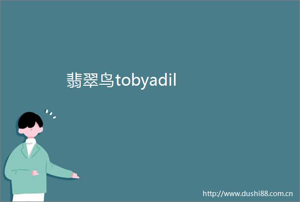 翡翠鸟tobyadil
