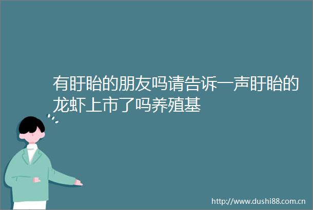 有盱眙的朋友吗请告诉一声盱眙的龙虾上市了吗养殖基