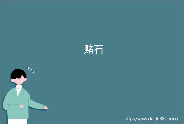 赌石