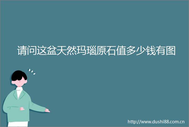 请问这盆天然玛瑙原石值多少钱有图