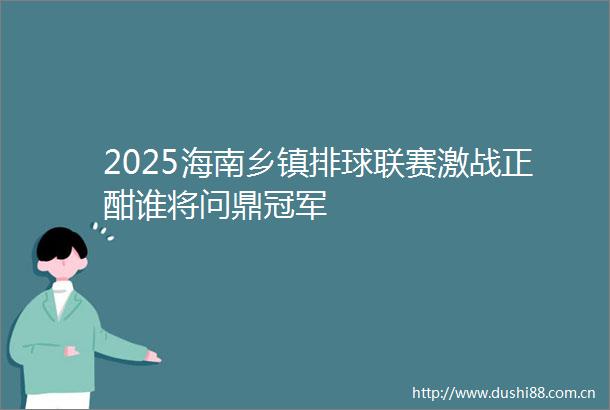 2025海南乡镇排球联赛激战正酣谁将问鼎冠军