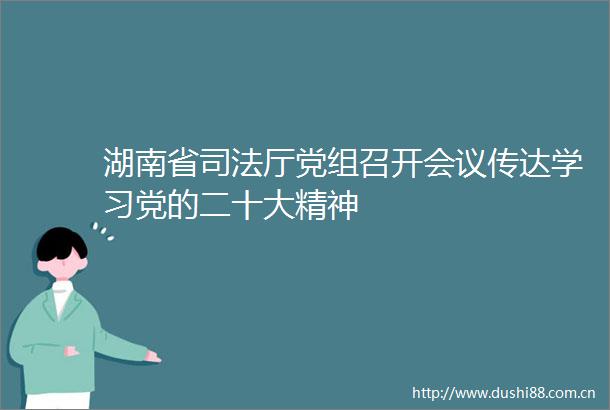 湖南省司法厅党组召开会议传达学习党的二十大精神