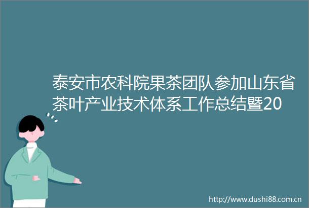 泰安市农科院果茶团队参加山东省茶叶产业技术体系工作总结暨2025年工作推进会