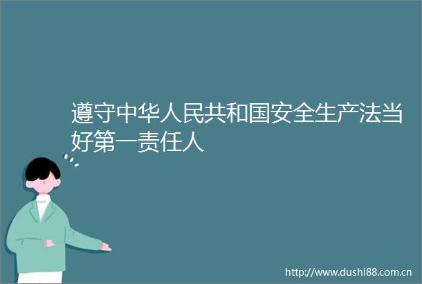 遵守中华共和国安全生产法当好第一责任人