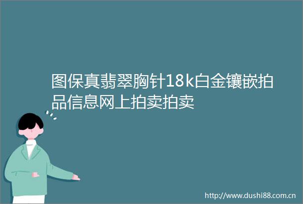 图保真翡翠胸针18k白金镶嵌拍品信息网上拍卖拍卖