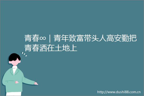 青春∞｜青年致富带头人高安勤把青春洒在土地上