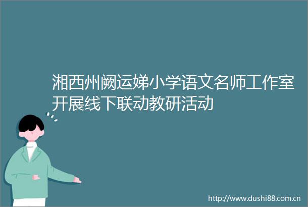 湘西州阙运娣小学语文名师工作室开展线下联动教研活动