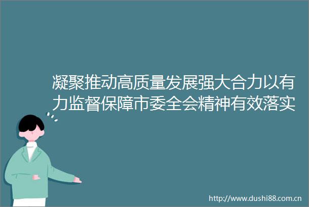凝聚推动高质量发展强大合力以有力监督保障市委全会精神有效落实