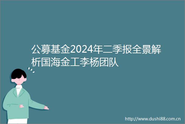 公募基金2024年二季报全景解析国海金工李杨团队