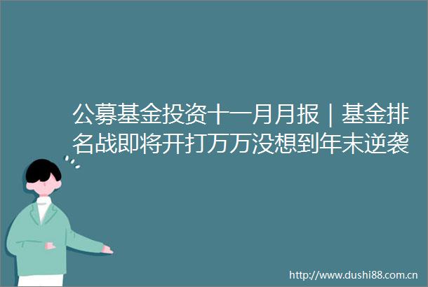 公募基金投资十一月月报｜基金排名战即将开打万万没想到年末逆袭的居然是它