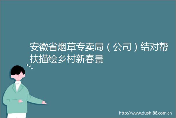安徽省烟草专卖局（公司）结对帮扶描绘乡村新春景