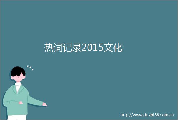 热词记录2015文化