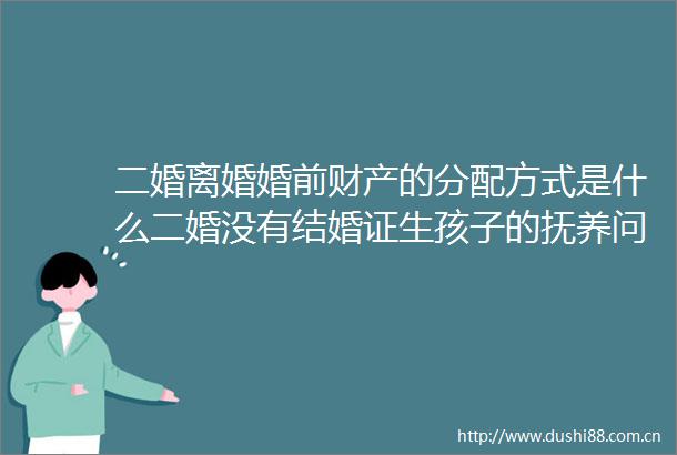 二婚离婚婚前财产的分配方式是什么二婚没有结婚证生孩子的抚养问题都有哪些