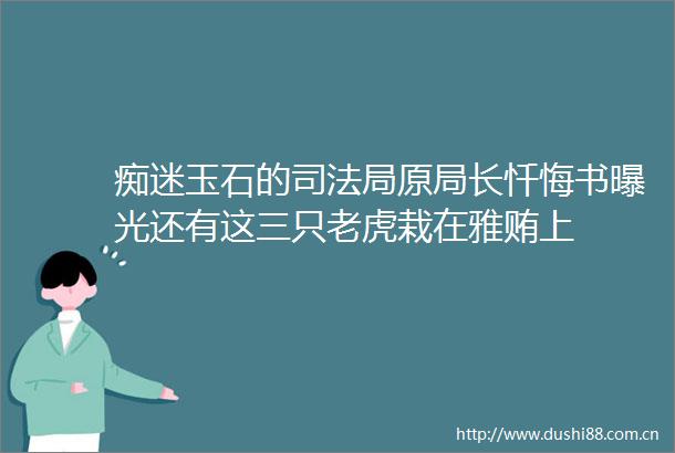 痴迷玉石的司法局原局长忏悔书还有这三只老虎栽在雅贿上