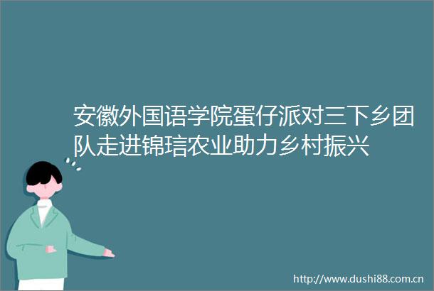 安徽外国语学院蛋仔派对三下乡团队走进锦琂农业助力乡村振兴