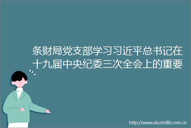 条财局党支部学习总书记在十九届中央纪委三次全会上的重要讲话精神