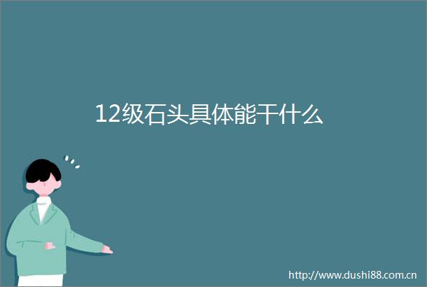 12级石头具体能干什么