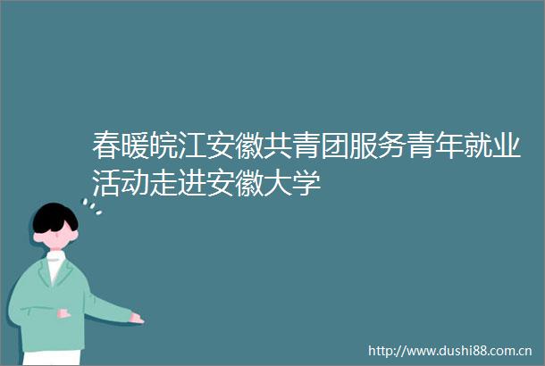 春暖皖江安徽共青团服务青年就业活动走进安徽大学