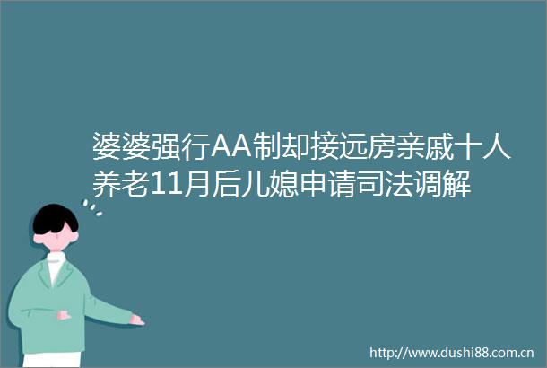 婆婆强行AA制却接远房亲戚十人养老11月后儿媳申请司法调解