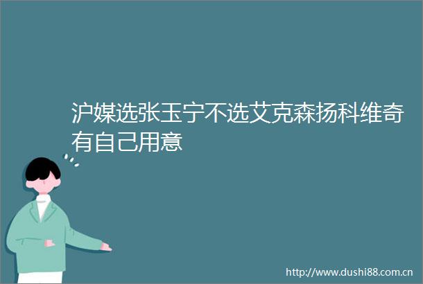 沪媒选张玉宁不选艾克森扬科维奇有自己用意