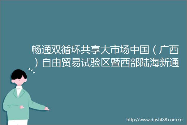 畅通双循环共享大市场（广西）自由贸易试验区暨西部陆海新通道专题推介会举办