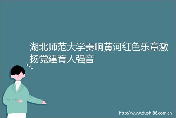 湖北师范大学奏响黄河红色乐章激扬党建育人强音