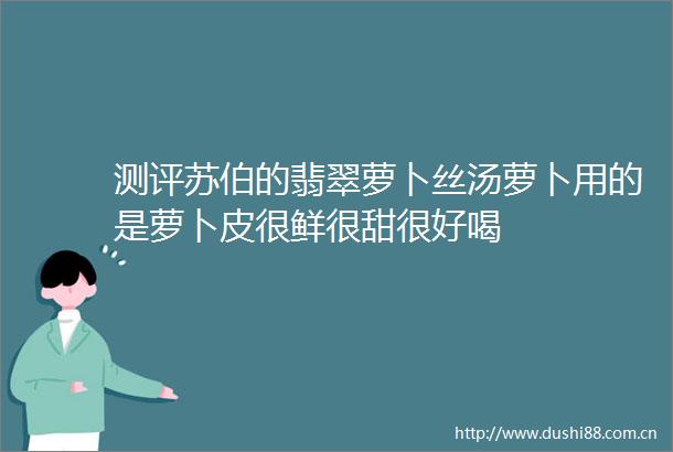 测评苏伯的翡翠萝卜丝汤萝卜用的是萝卜皮很鲜很甜很好喝
