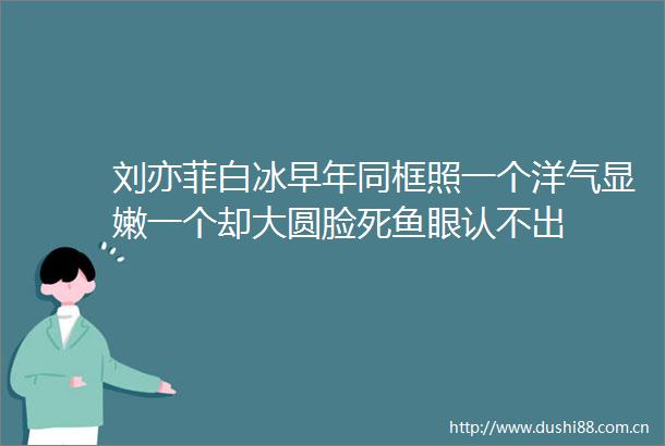 刘亦菲白冰早年同框照一个洋气显嫩一个却大圆脸死鱼眼认不出