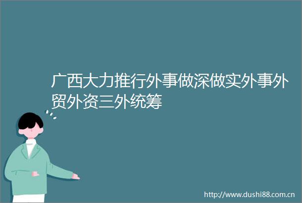 广西大力推行外事做深做实外事外贸外资三外统筹