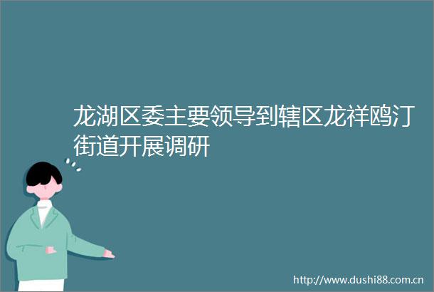 龙湖区委主要到辖区龙祥鸥汀街道开展调研