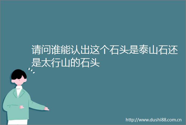 请问谁能认出这个石头是泰山石还是太行山的石头