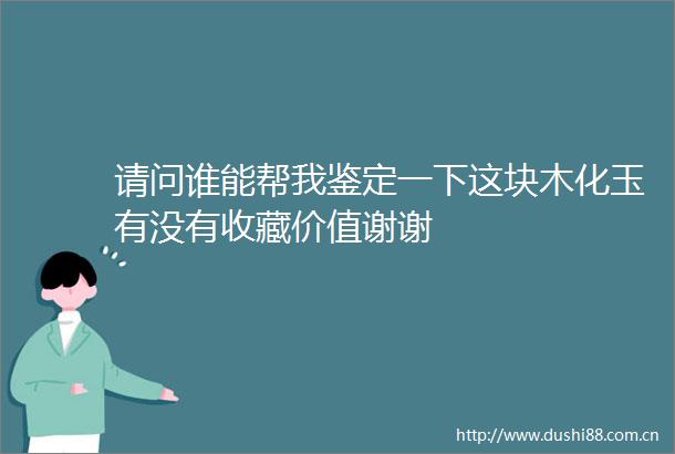 请问谁能帮我鉴定一下这块木化玉有没有收藏价值谢谢