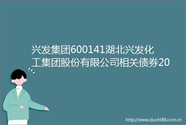 兴发集团600141湖北兴发化工集团股份有限公司相关债券2025年跟踪评级报告