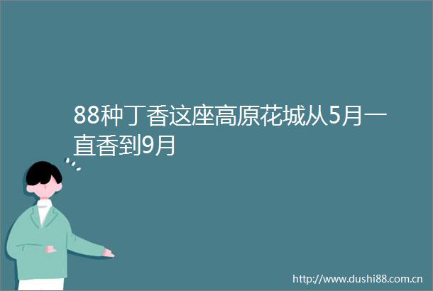 88种丁香这座高原花城从5月一直香到9月