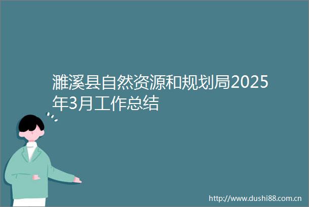 濉溪县自然资源和规划局2025年3月工作总结
