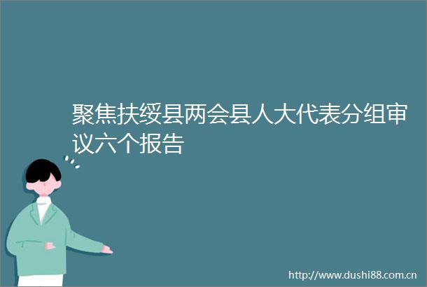 聚焦扶绥县两会县人大代表分组审议六个报告