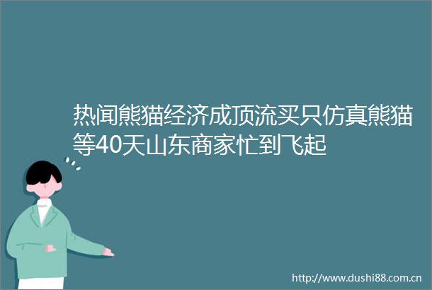 热闻熊猫经济成顶流买只仿真熊猫等40天山东商家忙到飞起