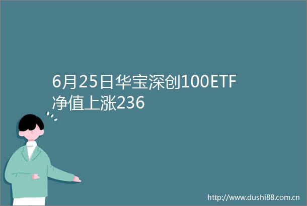 6月25日华宝深创100ETF净值上涨236