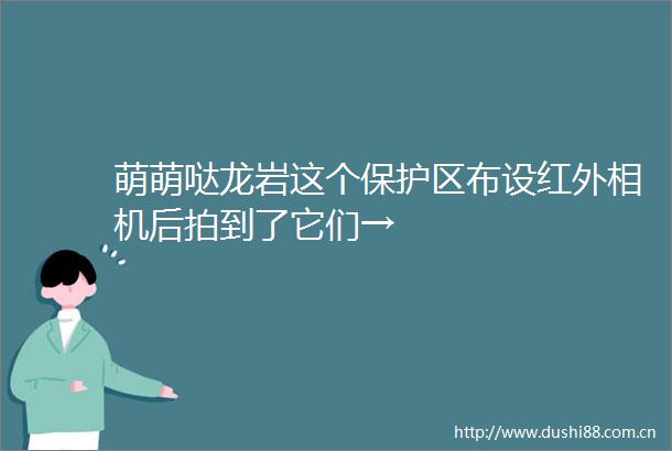 萌萌哒龙岩这个保护区布设红外相机后拍到了它们→