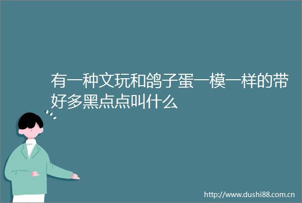 有一种文玩和鸽子蛋一模一样的带好多黑点点叫什么