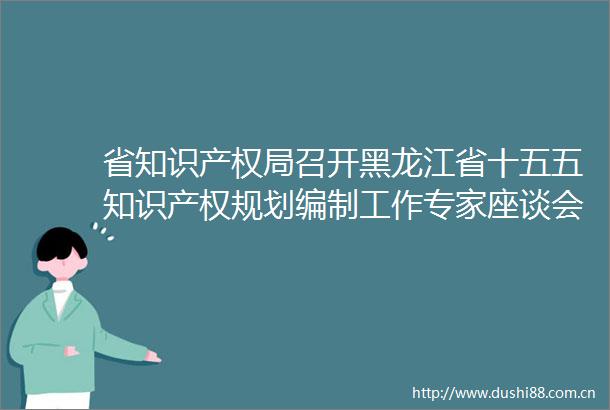 省知识产权局召开黑龙江省十五五知识产权规划编制工作专家座谈会