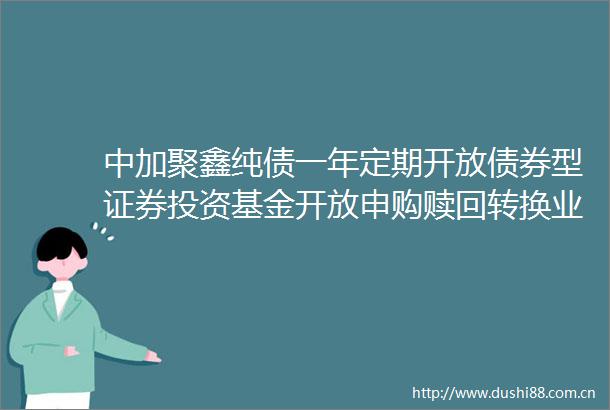 中加聚鑫纯债一年定期开放债券型证券投资基金开放申购赎回转换业务公告
