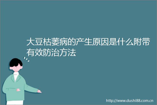 大豆枯萎病的产生原因是什么附带有效防治方法