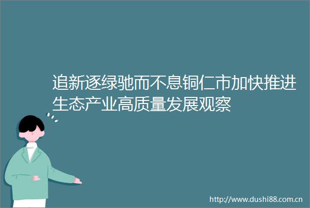 追新逐绿驰而不息铜仁市加快推进生态产业高质量发展观察