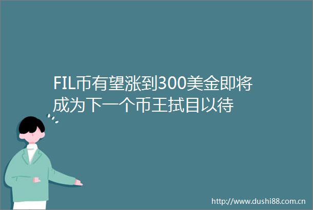 FIL币有望涨到300美金即将成为下一个币王拭目以待