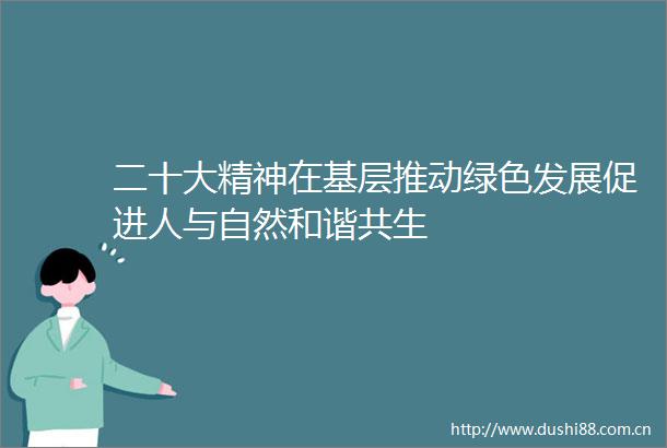 二十大精神在基层推动绿色发展促进人与自然和谐共生